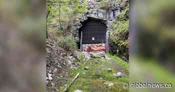 Regional district eyeing possibility of reopening historic Adra Tunnel on KVR Trail - Global News