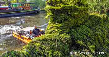 De strijd tegen ongewenste planten en dieren kost miljoenen (en ... - De Stentor