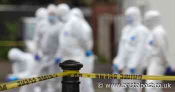 Brislington murder: 'Bloody battle over cannabis crop' ends in man fatally stabbed, court told