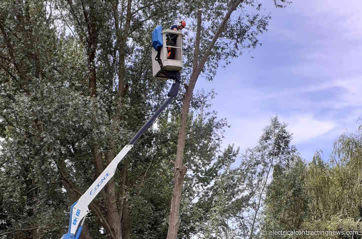Tree trimmers branch out with new software