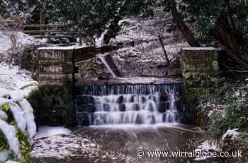 Wirral Globe Camera Club members capture the beauty of a wintry Wirral