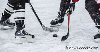 Baden Rhinos zu clever für die Pforzheim Bisons - Pforzheimer Zeitung