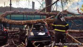 Maltempo: oltre 100 interventi per allagamenti e alberi caduti. Tromba d'aria in provincia