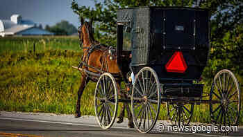 Expect heavy Amish traffic today. Why? The reason is in ... - Farmville Herald