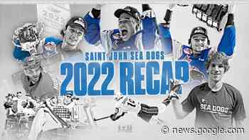 Sea Dogs Top 10 Moments of 2022 Part 1 – Saint John Sea Dogs - Saint John Sea Dogs