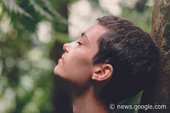 "Mindfulness", al via un corso in Confcommercio Lecco - Lecco Notizie