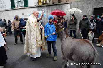 A MALAVEDO L'UNICO SANT'ANTONIO ABATE CELEBRATO A ... - Lecconews