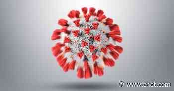 COVID Vaccine Effectiveness, Available Treatments: What to Know About XBB.1.5     - CNET