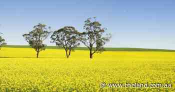Good weather has growers forging ahead