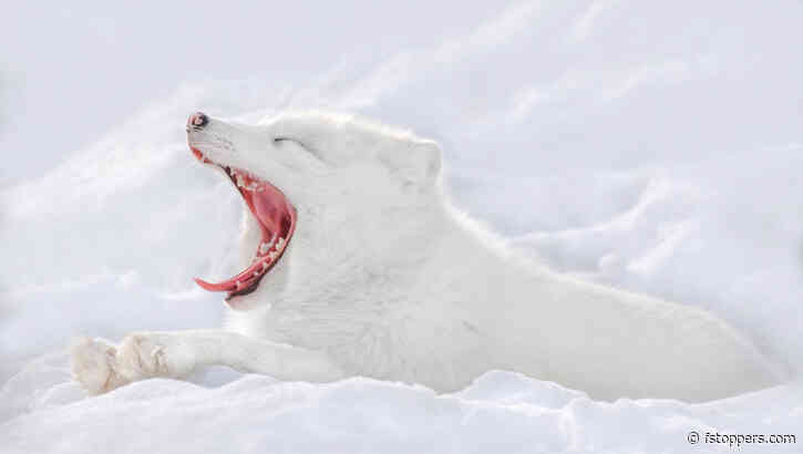 The Best Images from GuruShots "Mostly White" Challenge