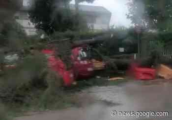 Avellino, paura in strada: crollano alberi sulle auto in sosta - anteprima24.it