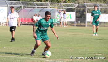 Avellino, arrivederci sintetico: Rastelli ordina il trasloco - anteprima24.it