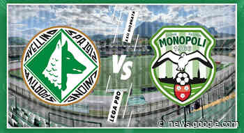 Pioggia di fischi per un Avellino che non sa più vincere, col ... - Orticalab