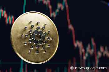 'Dogecoin Millionaire' Will Buy More Cardano (ADA) At This Level - Benzinga