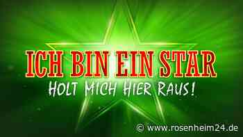 Das Dschungelcamp auf RTL: Erfolgreichstes TV-Programm am Montagabend