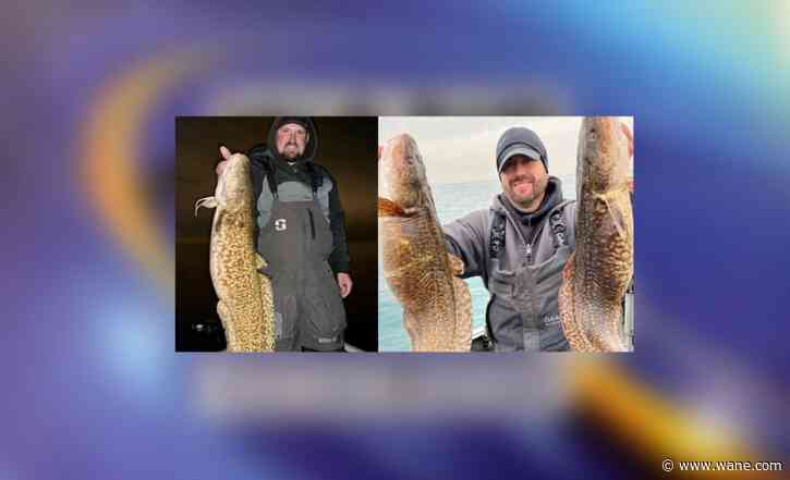 Another angler breaks Indiana record for biggest burbot