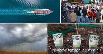 How the global economy is shaping up in beef's favour