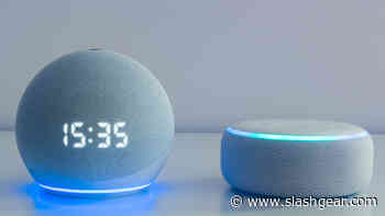 Everything You Should Know About Amazon Sidewalk