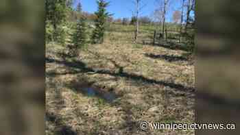 171 anomalies discovered at former residential school site in Northern Ontario