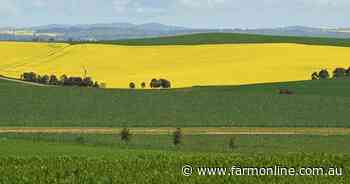 Cotton, canola and wheat expand while dairy decreases