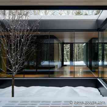 ACFD Architecture wraps glass home around apple tree in Quebec - Dezeen