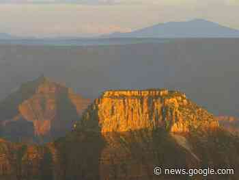 Kino in Wildeshausen: Reise zu den attraktivsten Zielen des ... - NWZonline