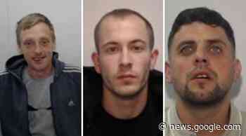 Oldham group who imported cannabis from the USA sentenced - The Oldham Times