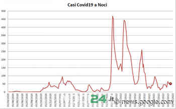 Covid19 a Noci: 52 positivi nel periodo 2-8 gennaio 2023 - NOCI24.it