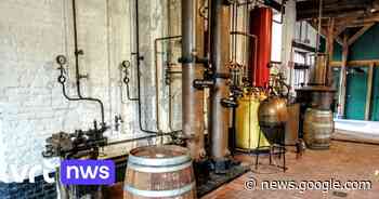 Bijna 65.000 bezoekers voor musea in Hasselt, ook ... - VRT.be