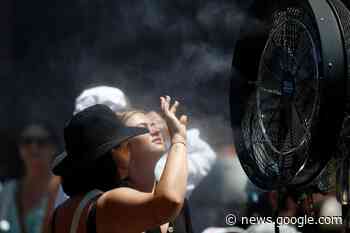 Extreme heat suspends play including Dan Evans' match at ... - Dudley News