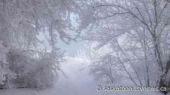 'Like an ice world': Frosty conditions perfect for photographers in Saskatoon