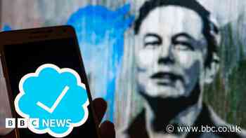 Twitter: Five ways Elon Musk has changed the platform for users