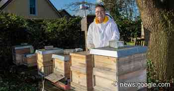 Krefeld: Bienen sind wegen mildem Winter bereits aktiv - Rheinische Post