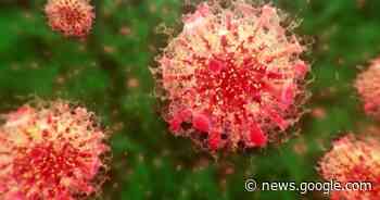 Kingston-area health officials keep tabs on new COVID-19 variant ... - Global News