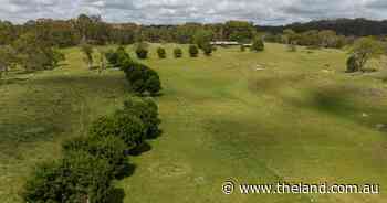 High rainfall, eastern fall cattle country | Video
