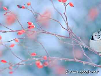 Weekend Astrology Forecast: Make The Most Of Your Time (January ... - NewsBreak Original