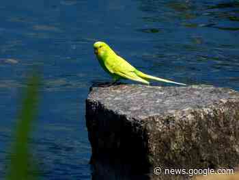 Fotos: Die schönsten Leserfotos vom Kreis Emmendingen im August ... - badische-zeitung.de