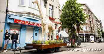 Beweging.net Pittem viert 100ste verjaardag met tuingesprekken ... - Het Laatste Nieuws