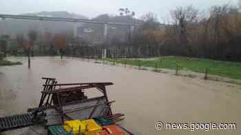 Allagamenti e disagi causati dal maltempo. Attivato il Coc - ciociariaoggi.it
