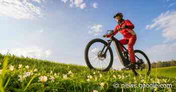 Mettmann: VHS bietet viel im neuen Halbjahresprogramm - Rheinische Post