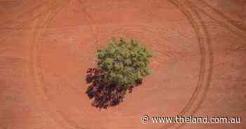 Carbon market fall-out: Protect ag supply chain