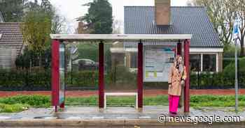 Domper voor Willemstad: bus 169 gaat niet vaker rijden - AD