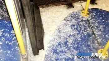 Beinasco, perdono l'autobus e si scagliano contro la porta: ferito un ... - TorinoToday