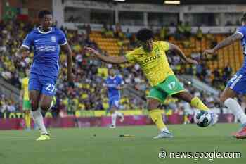 Norwich City's Championship game with Birmingham to be rearranged - PinkUn