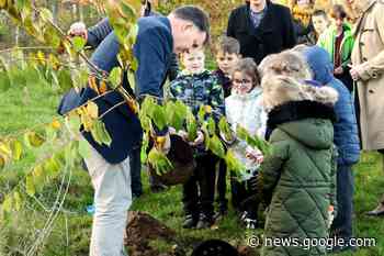 Helping our children and young people to flourish — Diocese of ... - Diocese of Norwich