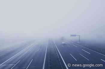 Fog advisory in effect for Mississauga, Brampton, Halton, Hamilton ... - insauga.com