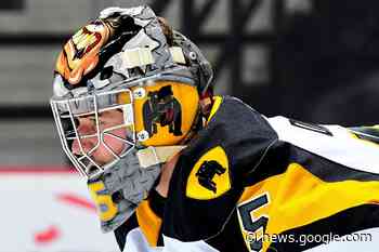 Hamilton Bulldogs' goalie from Oakville nabs OHL weekly honour ... - insauga.com