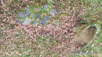 Heusenstamm: Schmittgraben wird vorerst nicht renaturiert - op-online.de