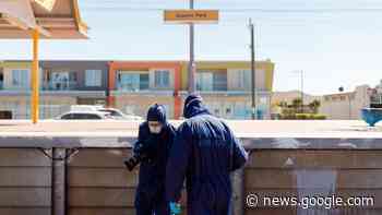 Lex Gerald Pickett pleads guilty to murder of Allan Thomas at Queens Park train station - ABC News