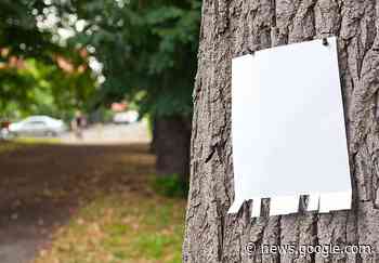 (Stockach / Lkr. Konstanz) - 24-jährige Frau wird vermisst, Polizei ... - Aktuelles für Deutschland